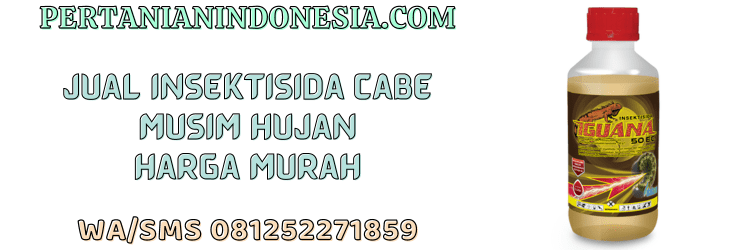 jual,murah,terjangkau,toko pertanian terdekat,pertanian indonesia